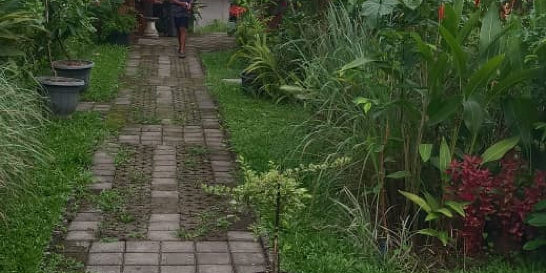 WhatsApp Image 2025-12-10 at 2.49.30 PM